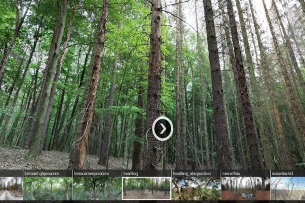 Ein digitalisierter Wald für Forschung und Lehre