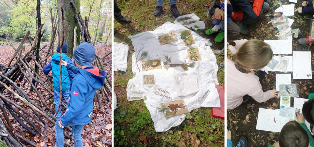 Sattelmühle-Stiftung fördert Waldprojekt 2024/2025: Naturerfahrung für Grundschulkinder in der Südpfalz