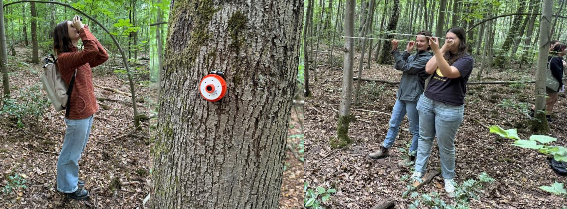 Sattelmühle-Stiftung Messgeräte für forstliche Praxisveranstaltungen an der Universität Bonn