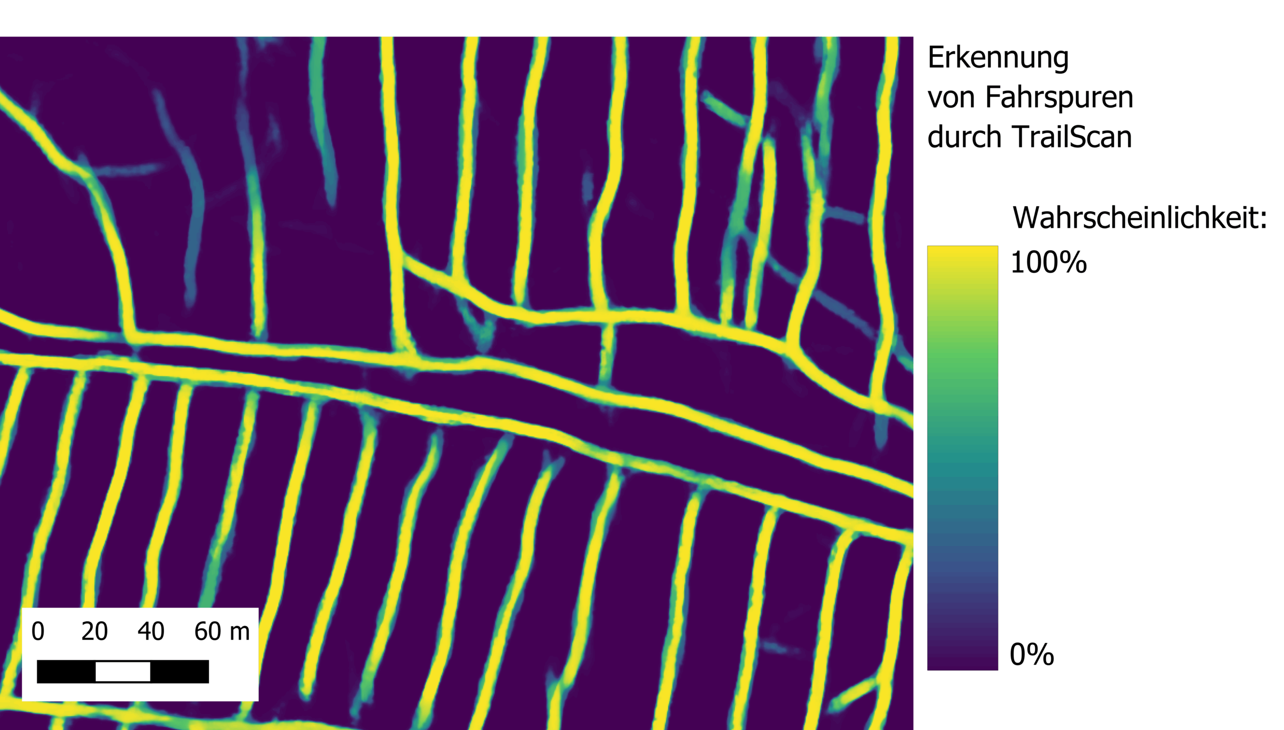 Sattelmühle-Stiftung: Ergebnis einer TrailScan-Analyse im QGIS-Plugin: Die digitale Karte zeigt die erkannten Rückegassen in einem Farbverlauf – je heller die Linie, desto höher die Wahrscheinlichkeit, dass es sich um eine aktiv genutzte Rückegasse handelt. (Quelle: T. Kempen)